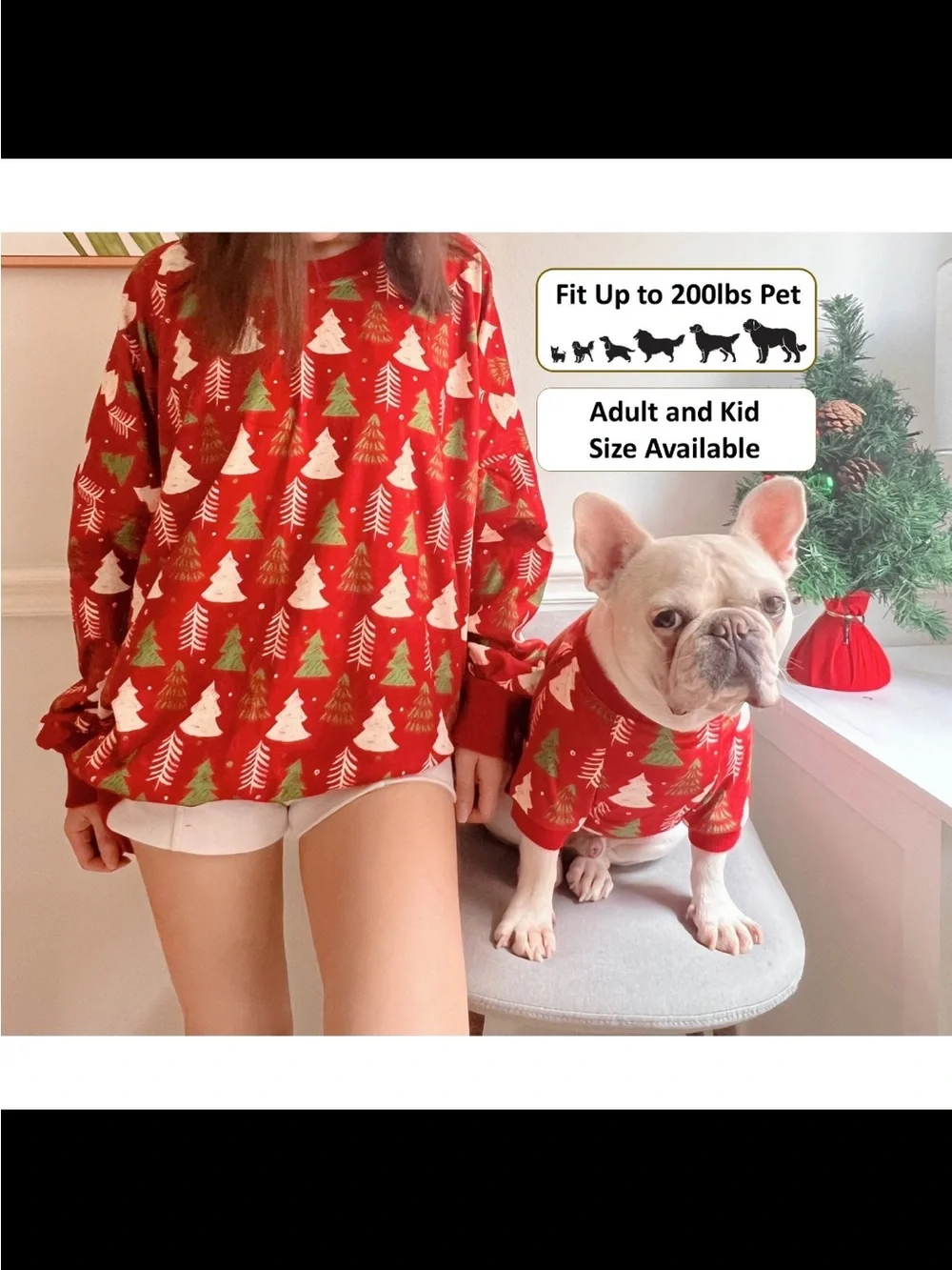 Matching Pet and Owner Christmas Sweatshirt